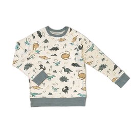 Silkberry Dino Delight Print Bamboo Fleece Sweatshirt by Silkberry