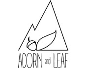 Acorn and Leaf