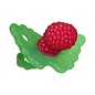 Razbaby Raz Baby Silicone Teether 3+ Months