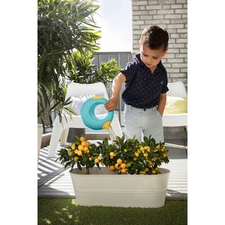 Quut Cana Modern Watering Can Banana Blue