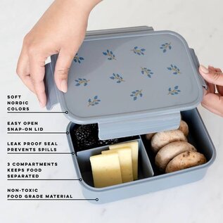 3 Sprouts Recycled Plastic Lunch Container 3 Compartment Bento Box by 3 Sprouts