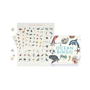 Ocean Bingo Game