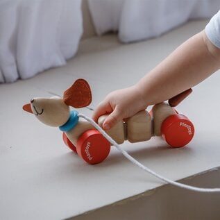 Plan Toys Pull Along Happy Puppy Wooden Toy