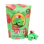 Tilly the Turtle Clay Kit (Made in Canada)