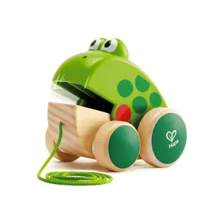 Frog Pull Along Toy