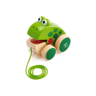 Frog Pull Along Toy