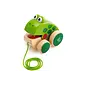 Frog Pull Along Toy