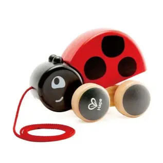 Ladybug Pull Along Toy