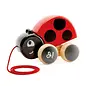 Ladybug Pull Along Toy