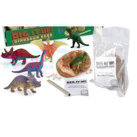 Dig it Up! Dinosaur Egg