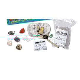 Dig it Up! Minerals and Fossils
