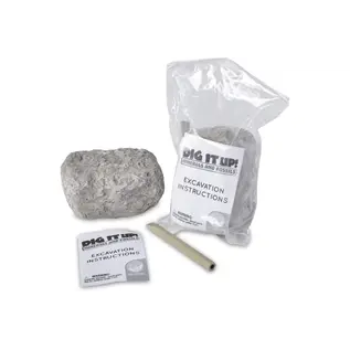 Dig it Up! Minerals and Fossils