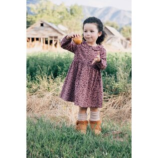 Frill Collar Dress in Plum Birds Print