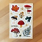 Vinyl Sticker Sheets