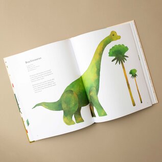 Book The Colorful World of Dinosaurs Hardcover Book by Matt Sewell