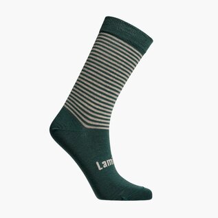 Lamington Kea Print Merino Wool Crew Socks