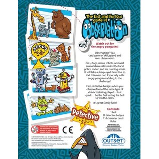 The Fast and Furious Game of Observation (Ages 6+)