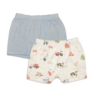 Silkberry Bamboo Boy's Boxer Shorts 2-Pack