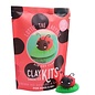Lottie the Ladybug Clay Kit (Made in Canada)