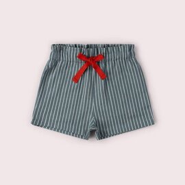 Little Green Radicals Navy Striped By the Sea Twill Shorts