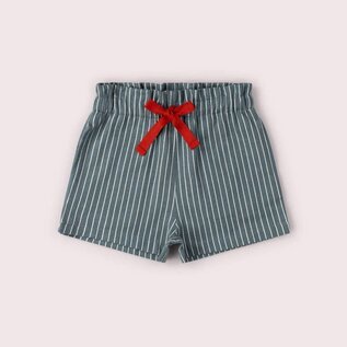 Little Green Radicals Navy Striped By the Sea Twill Shorts