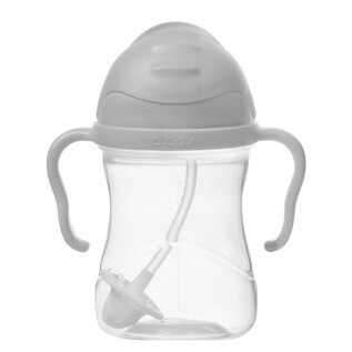 BBox Sippy Straw Cup by b.box