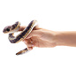Folkmanis Puppets Mini Snake Finger Puppet by Folkmanis