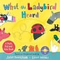 What the Ladybird Heard A Push, Pull, Slide Book