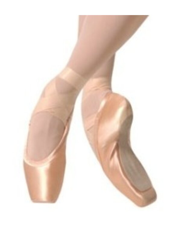 Gaynor Minden Pointe Shoes