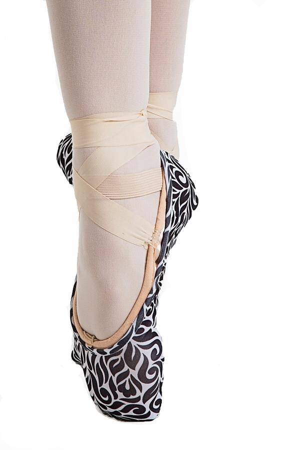 ballet shoe protectors