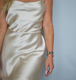 Dessert Silk Dress