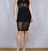 Mesh Bodycon Dress