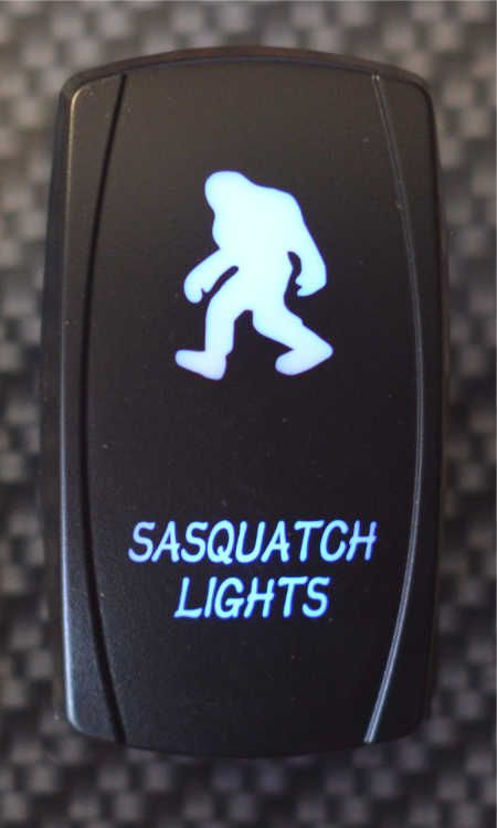 WLO WLO - Switch / 5 -  Saquatch  - Blue