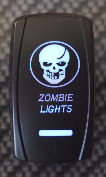 WLO WLO - Switch / 5 -  Zombie Skull  - Blue