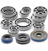 Sandcraft RCR Motorsports Sandcraft - TRANSMISSION BEARING & SEAL COMBO - 2014-2021 RZR XP 1000  (C11140000)