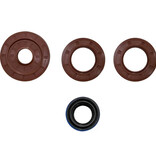 SATV - Polaris RZR XP 1000 Transmission Seal Kit