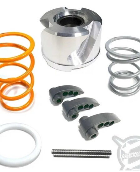 Aftermarket Assassins - 2022-Up RZR Pro R 4 Cylinder S3 Clutch Kit
