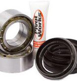 Pivot Works Polaris Wheel Bearing Kit (2 Pcs)