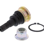 ALL BALLS ALL BALLS - BALL JOINT (42-1066) POLARIS PRO R '22-'24