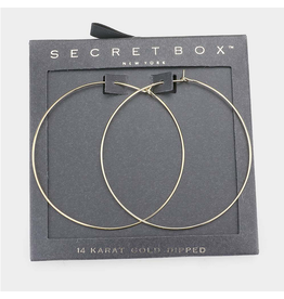 Secret Box Metal Hoop Earrings