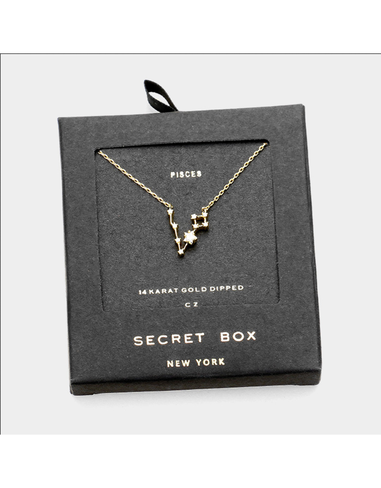Secret Box Zodiac Necklace Gold Dipped