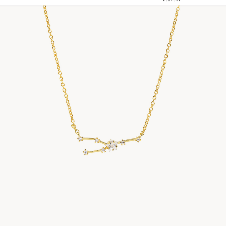 Secret Box Zodiac Necklace Gold Dipped