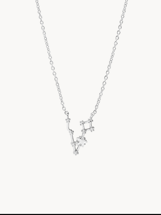 Secret Box Sterling Silver Dipped Zodiac Necklace