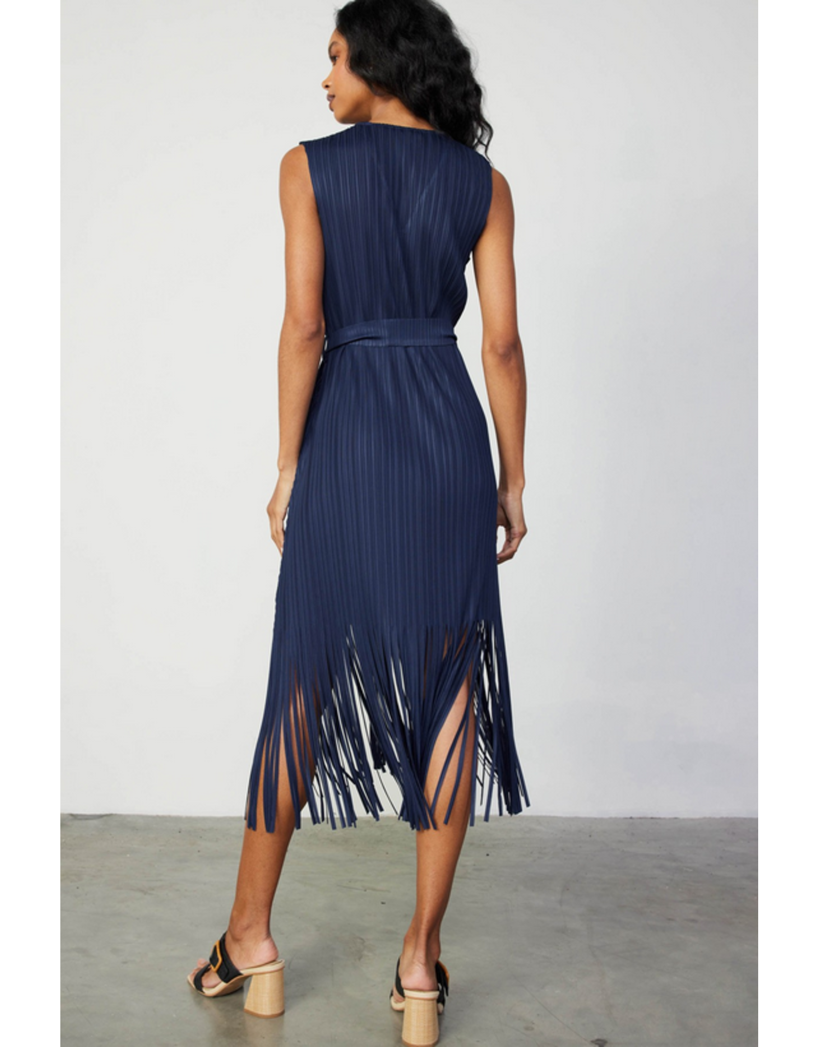 Current Air Sleeveless Pleated Dress with Fringe Detail