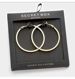 Secret Box 14K Gold Dipped Hoop Earrings