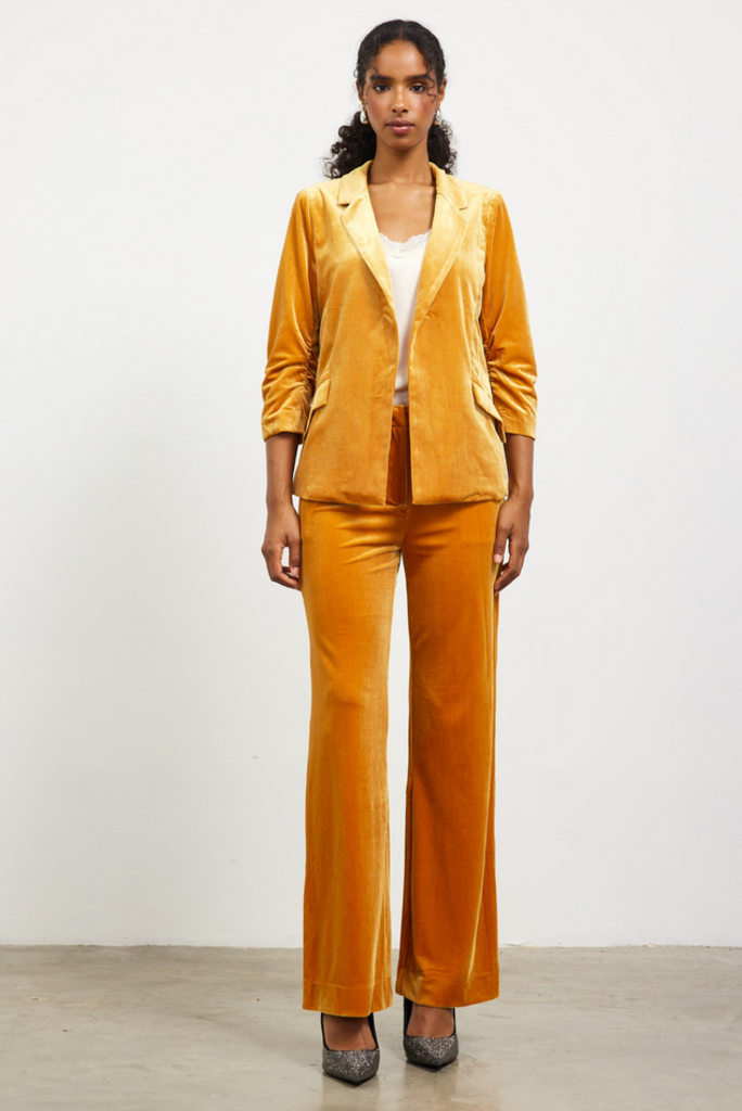 Skies Are Blue Velvet Straight Fit Pants