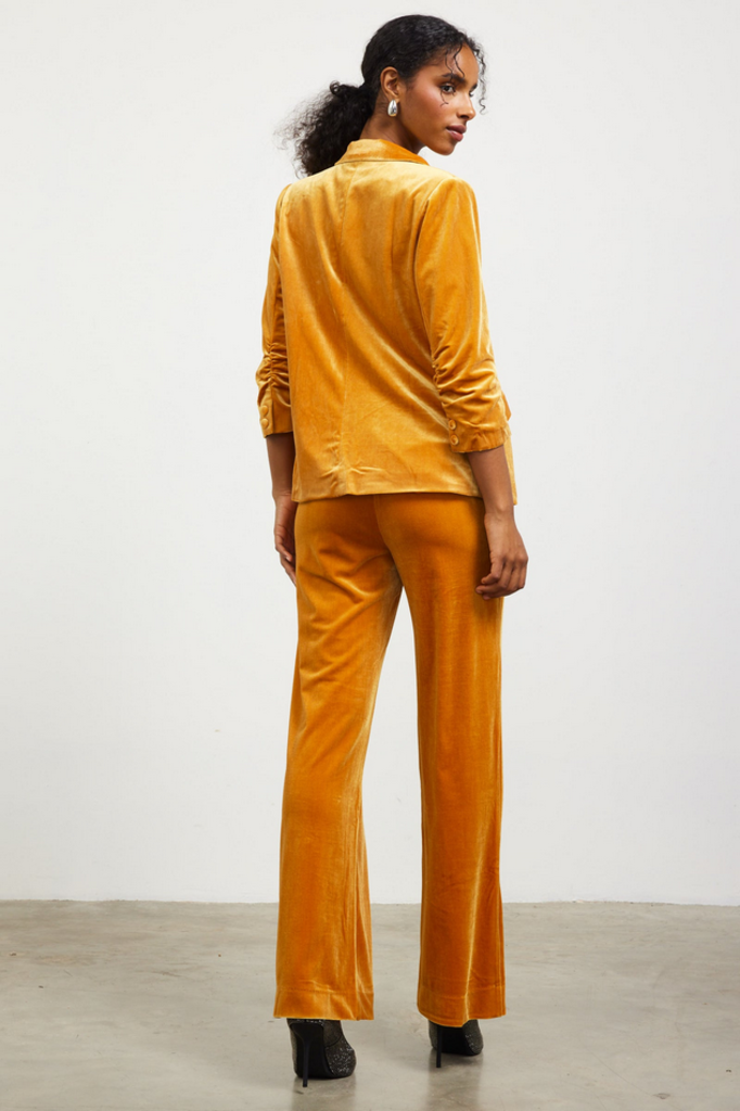 Skies Are Blue Velvet Straight Fit Pants