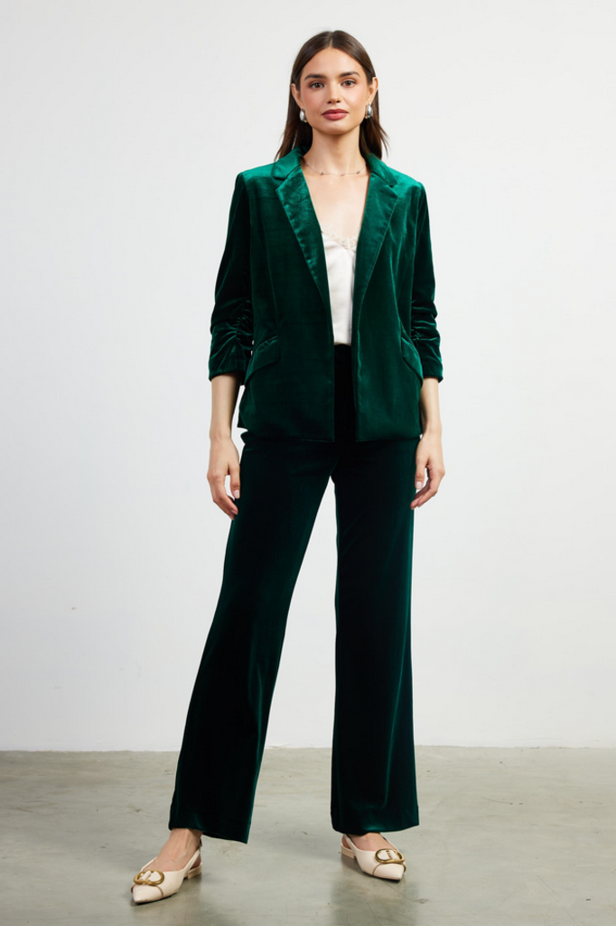 Skies Are Blue Velvet Straight Fit Pants