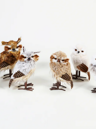 One Hundred 80 Degrees Arctic Owl - Large - Assorted