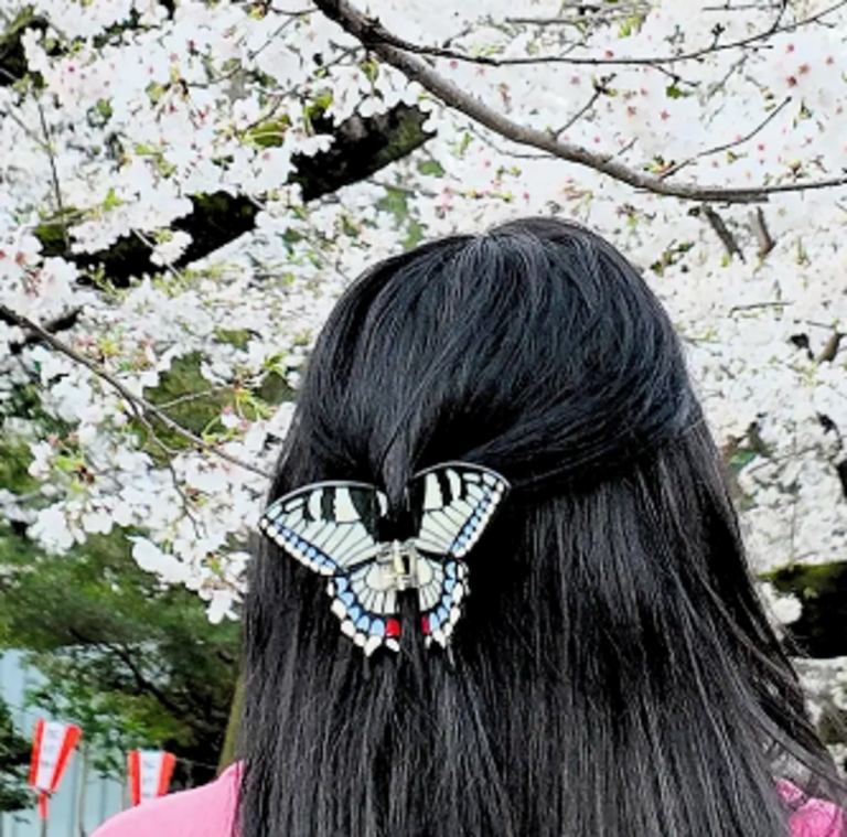 Solar Eclipse Hand-Painted Swallowtail Butterfly Claw Hair Clip